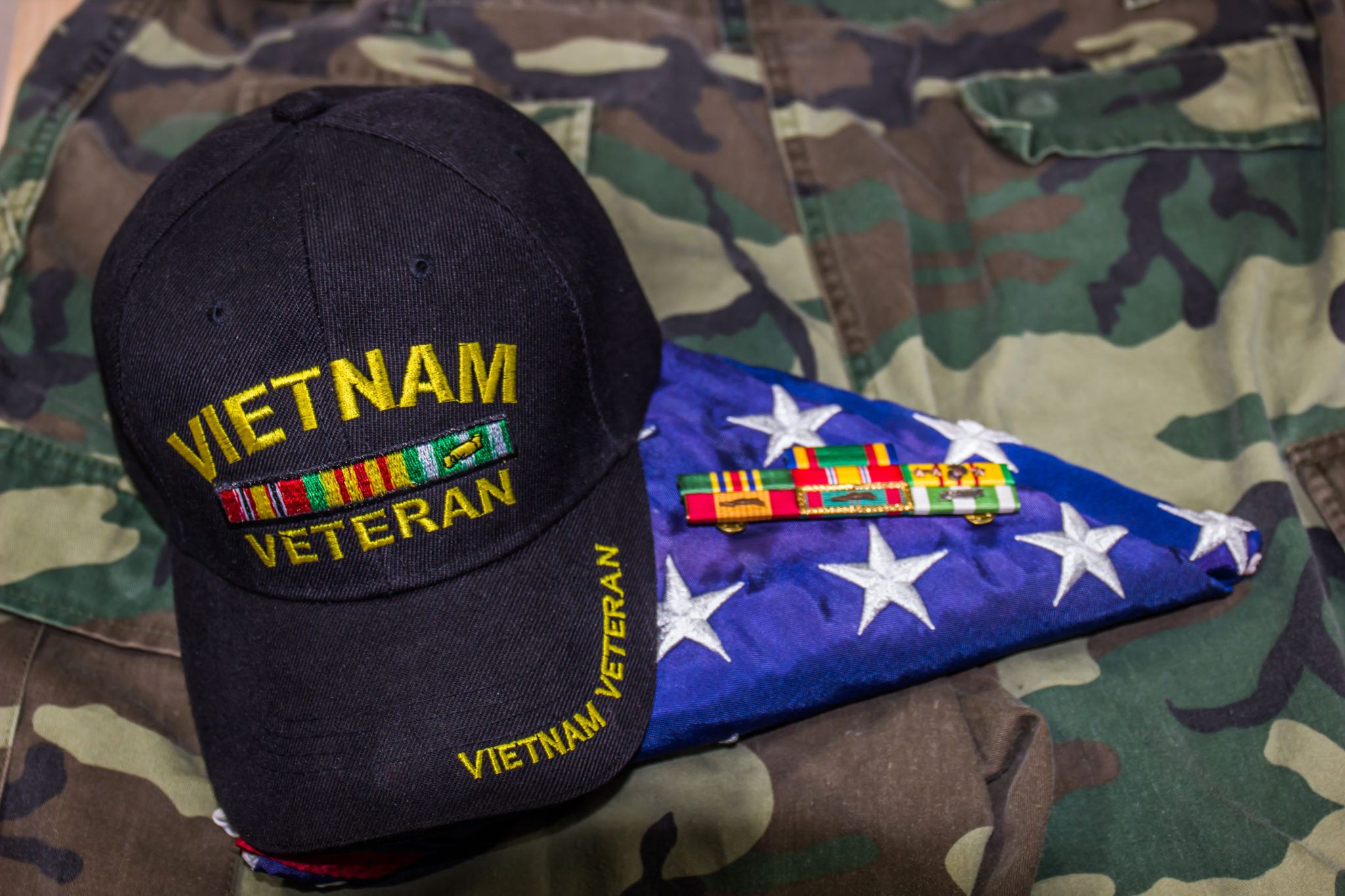 Home Vietnam Veterans Day Celebration